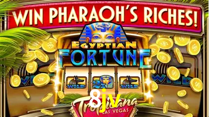 8jv Licença Curaçao Gaming